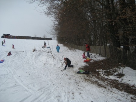 Schlittenfahren_31_01_2010_003.jpg